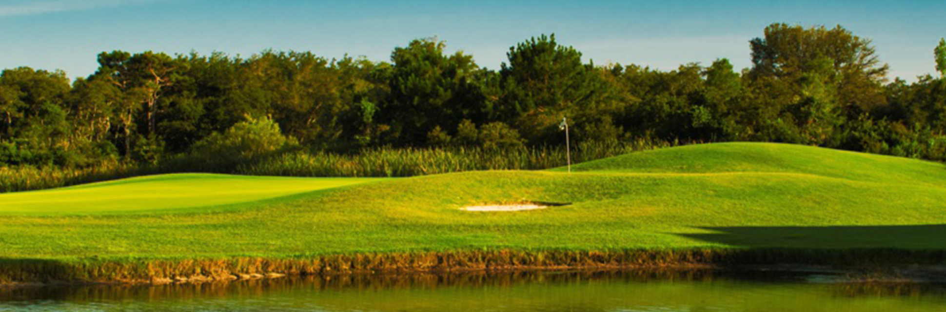 About Us Fox Hollow Golf Club (TPA)